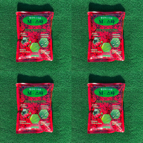 황산마그네슘 황산고토 엽면시비 마그네슘비료 3+1 엠스타, 4개, 1kg
