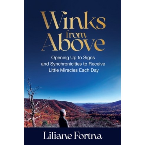 (영문도서) Winks from Above: Opening Up to Signs and Synchronicities to Receive Little Miracles Each Day Paperback, Capucia Publishing, English, 9781954920248