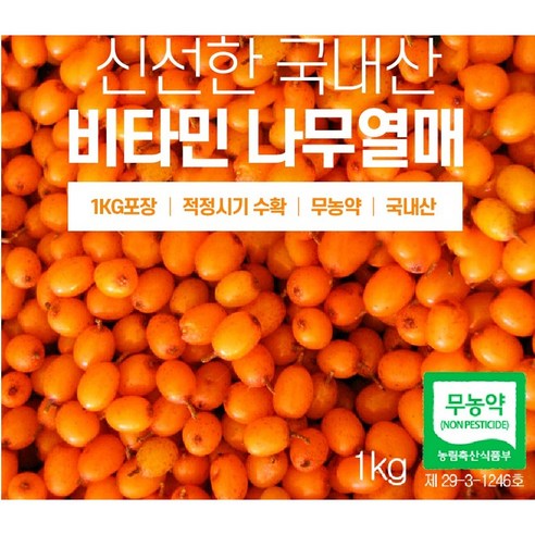 비타민 열매 산자 열매 생과1KG 강원도 청정지역 수확 - 과일가루 | 쿠팡