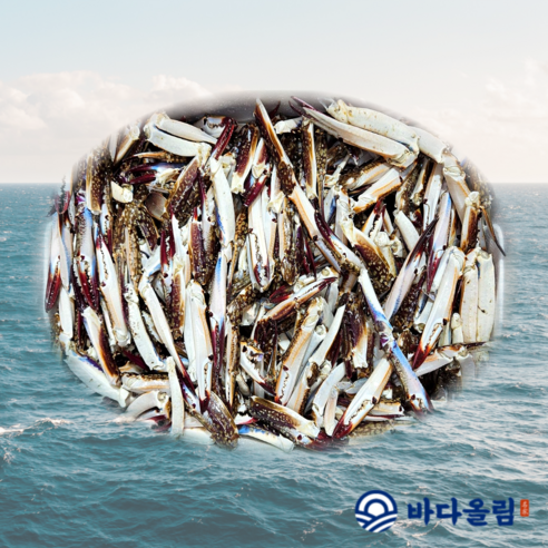 [잇팅나우ㅣ인기상품] 바다올림 연평도 육수용 꽃게 다리 집게발, 해산물 요리의 풍미 극대화 [EatingNOWㅣ추천상품]