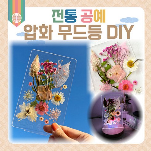 전통 무드등 압화 공예 중학생 어르신 프로그램 성인 취미 diy 추석 설날 만들기 키트 TAU2317, 비비드