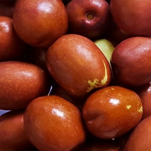 보은 햇 생대추 1kg 특초 (24-26mm), 1개