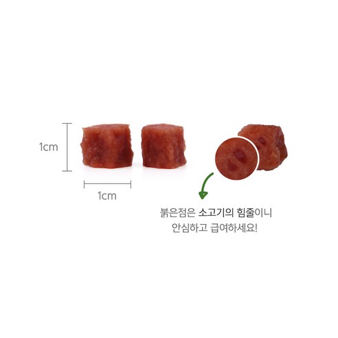 사랑하는 반려견을 위한 최상의 선택