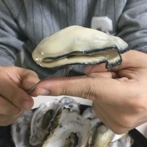 고흥의 자랑, 개체굴의 진수