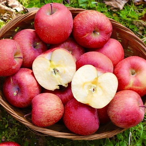 국대농부 햇 사과, 1개, 2kg 중소과