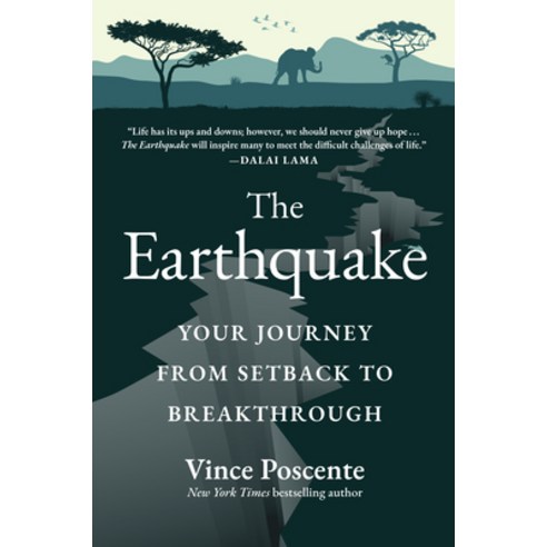 (영문도서) The Earthquake: Your Journey from Setback to Breakthrough Hardcover, Matt Holt, English, 9781953295712