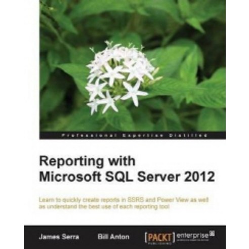 Reporting with Microsoft SQL Server 2012, Packt Publishing