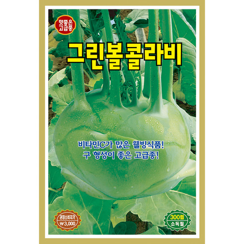근채류 씨앗 모음 레드볼 그린볼 콜라비 비트 우엉 종자, 2개