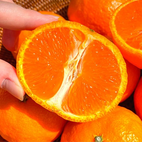 천상의 맛, 극Brix 제주 카라향으로 일상에 특별함을 더하다