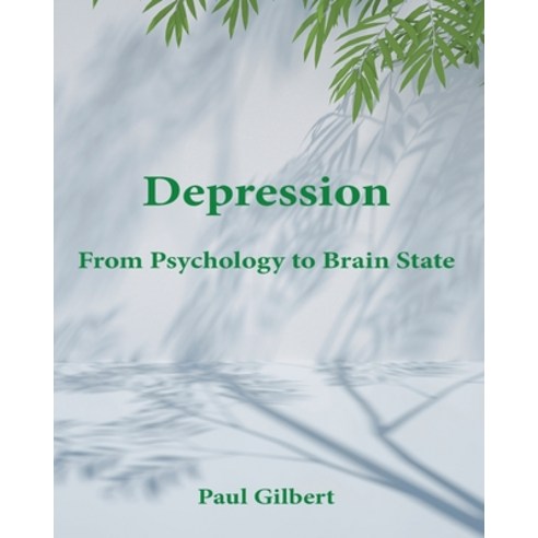 (영문도서) Depression: From Psychology to Brain State Paperback, Annwyn House, English, 9781999868383