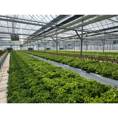 유럽식 건강의 비밀, 한입에 품다.