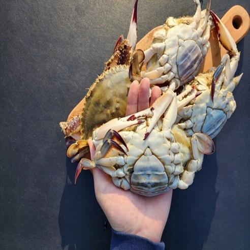 선상 급냉으로 신선도 봉인된 연평도의 맛있는 암꽃게