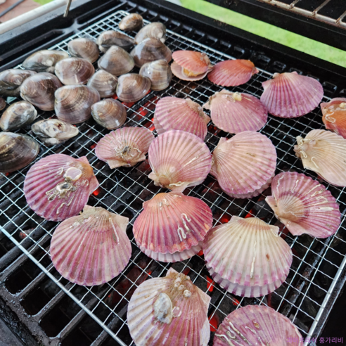 산지에서 직접 온 통영 홍가리비의 풍부한 맛과 영양소를 즐기세요.