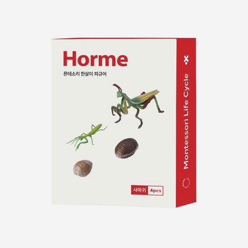 (복사용) 호르메 몬테소리 사마귀 한살이 동물피규어 4pcs, 1세트
