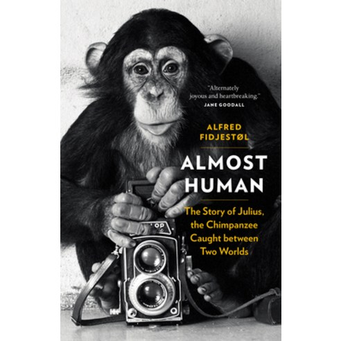 (영문도서) Almost Human: The Story of Julius the Chimpanzee Caught Between Two Worlds Hardcover, Greystone Books, English, 9781771643856