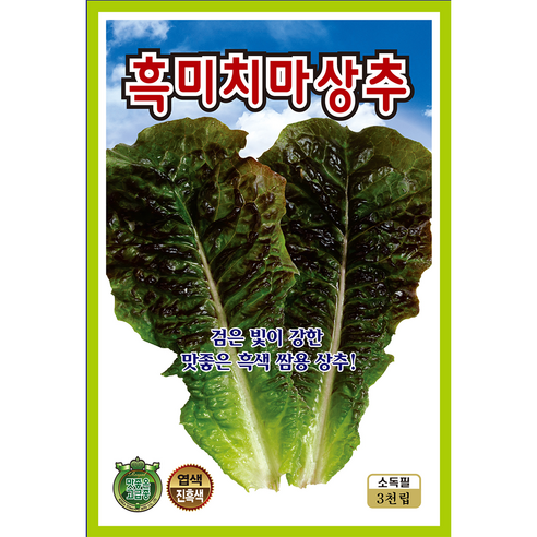 쌈채소 씨앗 모음 종자 상추 치커리 로메인 깻잎 쌈채, 2개