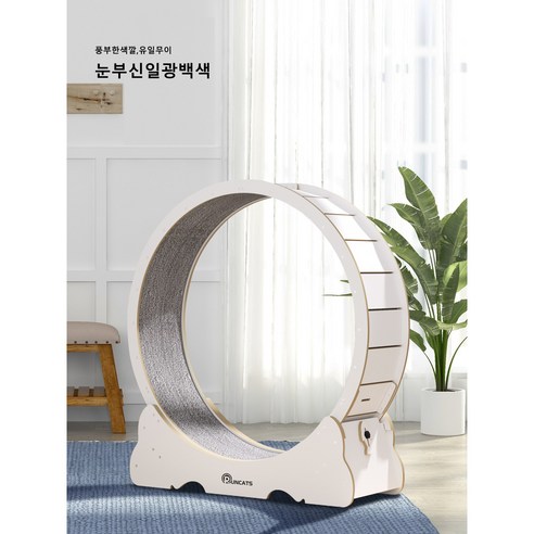 런캣 캣휠 디자인 및 크기