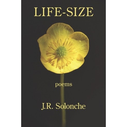 (영문도서) Life-Size Paperback, Kelsay Books, English, 9781639800551