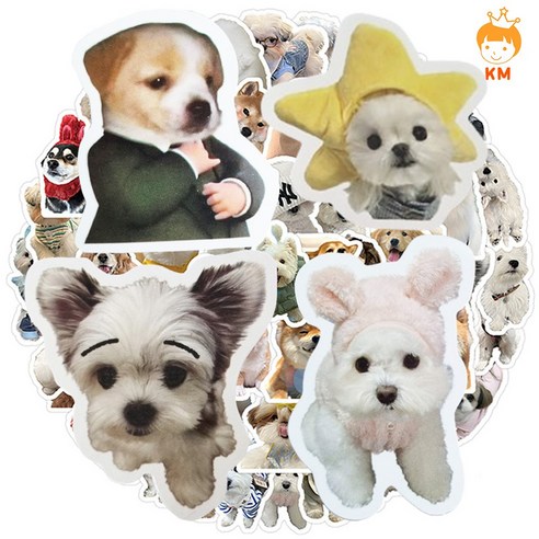 케이엠 귀여운 강아지 스티커 방수 pvc 노트북 다이어리 꾸미기, 강아지 사진99p, 1세트