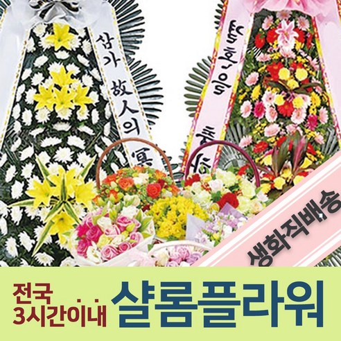 백묘국미니화분 백묘국퀵배달 추모화환배달 화환퀵배달 쌀화환배달 공기정화식물배달 서양난배달 화환퀵배송 미니화분백묘국 미니화분퀵배달 퀵배달백묘국 퀵배달미니화분 인테리어화분전문업체, 1.축하3단