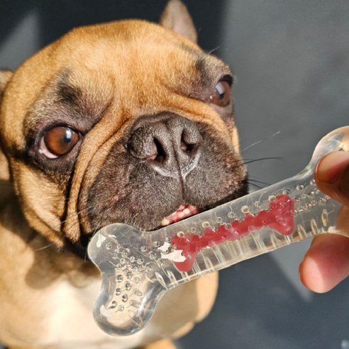 고냥냥 강아지 이갈이 장난감 터그놀이, 1개, 빨강(소고기)