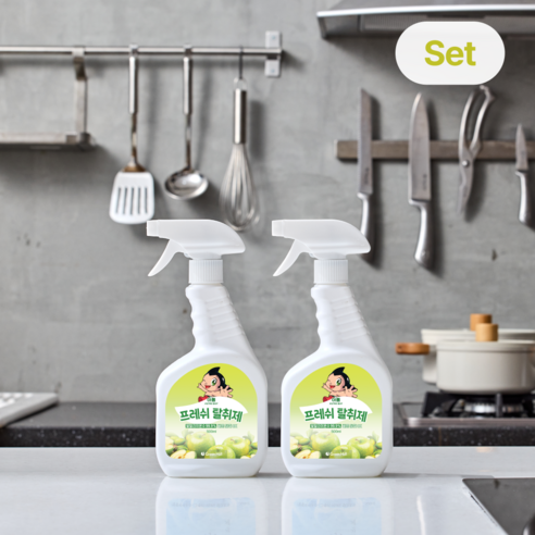 아톰 프레쉬 탈취제 500ml, 2개