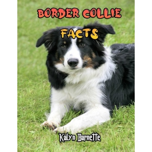 Border Collie Facts: BORDER COLLIE fact for girl age 1-10 BORDER COLLIE fact for boy age 1-10 facts ... Paperback, Independently Published, English, 9798712562183