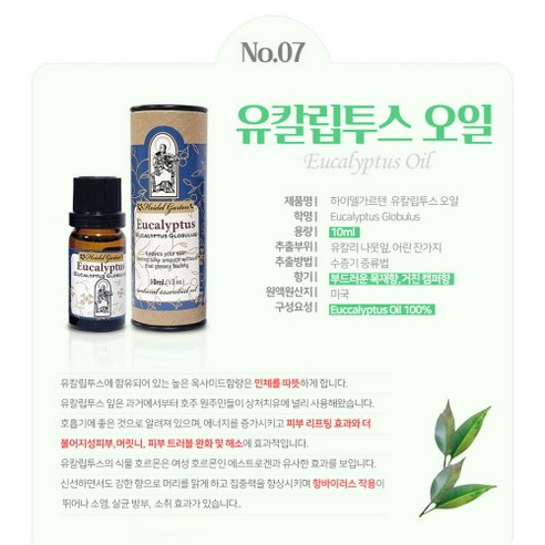 순수한 자연의 힘을 느껴보세요