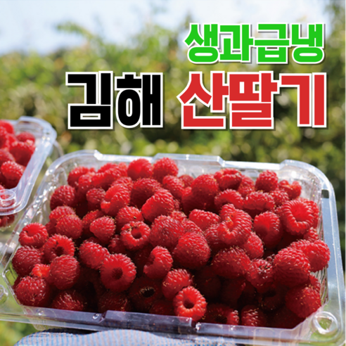 새콤달콤 김해 산딸기 햇 생산딸기 제철과일 급냉, 1개, 1kg