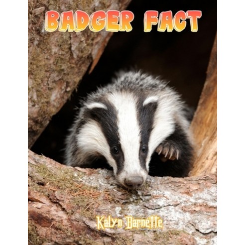 Badger Fact: BADGER fact for girl age 1-10 BADGER fact for boy age 1-10 facts about all about BADGER Paperback, Independently Published, English, 9798746836373
