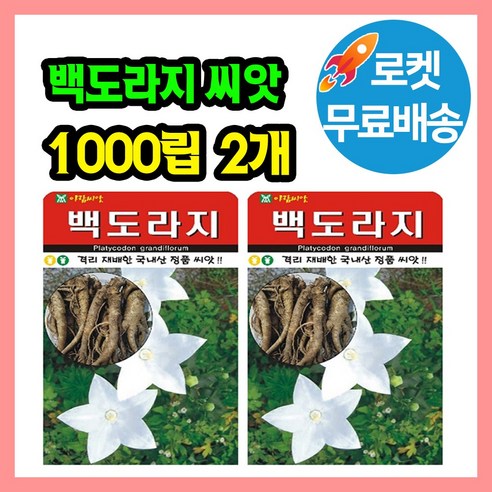 백도라지 씨앗 (합 2000립) 도라지 종자, 2개