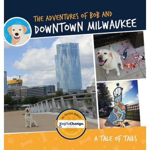 The Adventures of Bob and Downtown Milwaukee Hardcover, Orange Hat Publishing, English, 9781645380313