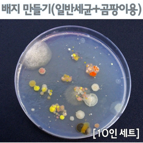 빠른 배송 배지 만들기일반세균곰팡이10인용 (기프티콘 증정), 10인용