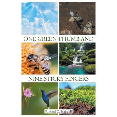 (영문도서) One Green Thumb and Nine Sticky Fingers Paperback, Page Publishing, Inc., English, 9781644626023
