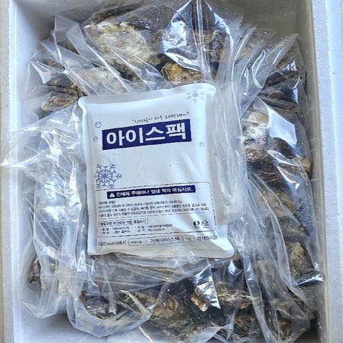 살아있는 석화로 굴의 진정한 맛을 경험하세요!