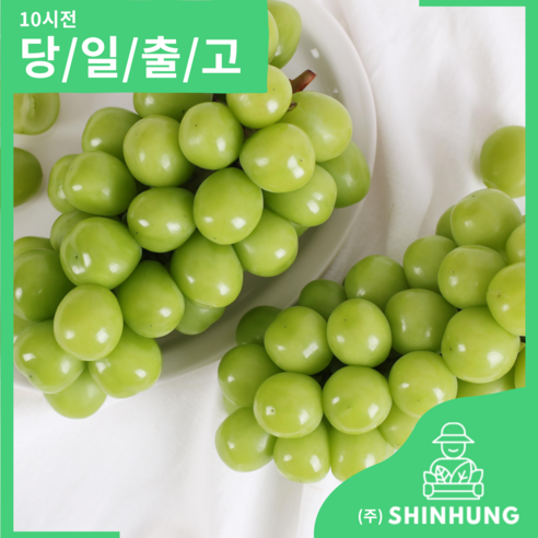 샤인머스켓 햇 샤인머스캣 고당도 프리미엄 망고 포도 산지직송 [신흥유통], 샤인머스켓 2kg ..., 1개 - 포도 | 쿠팡
