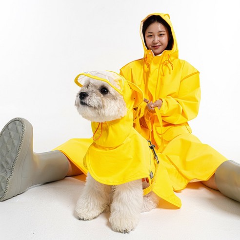 비 오는 날 산책, 우리 댕댕이 축축한 털 때문에 고민이신가요? 🐾 강아지비옷