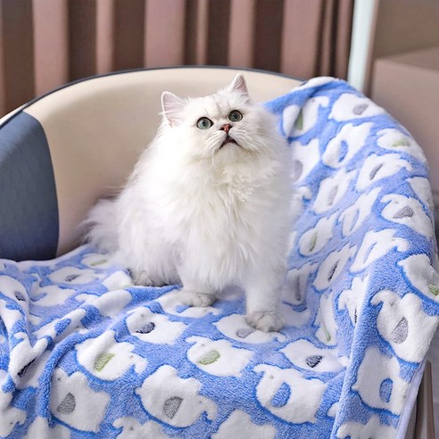 사랑스러운 반려동물을 위한 최고의 선택