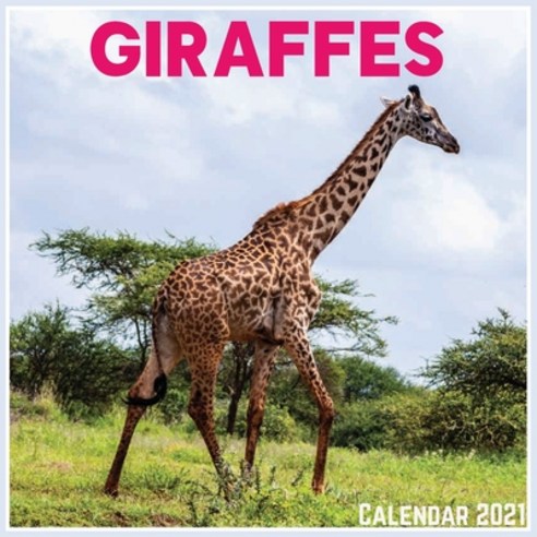 Giraffes Calendar 2021: Official Giraffes Calendar 2021 12 Months Paperback, Independently Published, English, 9798702171777