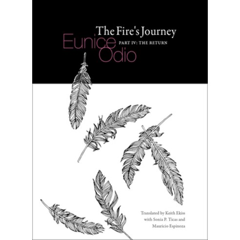 The Fire''s Journey (Part IV: The Return) Paperback, Tavern Books, English, 9781935635901