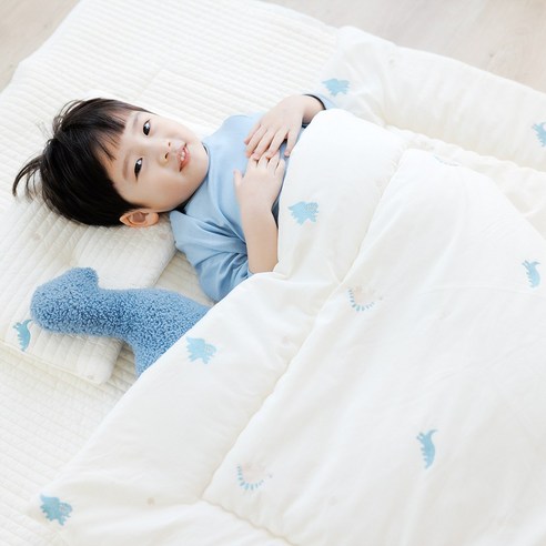 바미블랑 자수 차렵이불 아기 신생아 유아동 키즈 순면 100% 모달실크 이불, 디노 디노