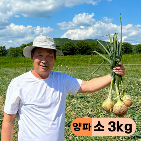 만근농장 국내산 햇양파, 1개, 3kg(중)