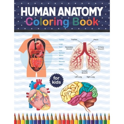 Human Anatomy Coloring Book For Kids: Human Body Anatomy Coloring Book For Kids Boys and Girls and ... Paperback, Independently Published, English, 9798575700463