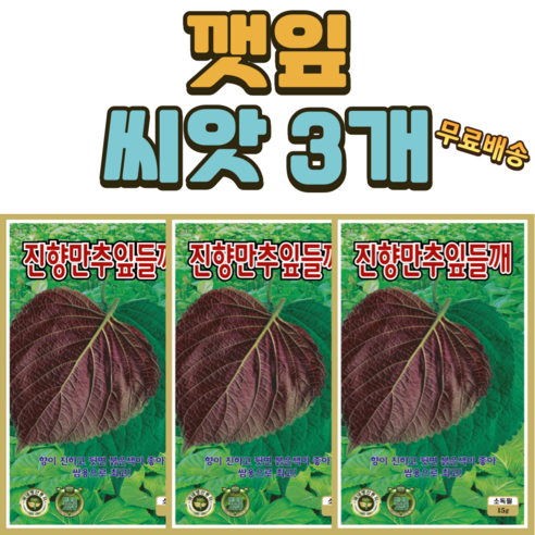 씨앗팜 잎들깨 씨앗 3개(10gx3) 깻잎씨앗 깻잎 씨 쌈채소 채소 씨앗 종자, 3개 - 혼합/기타잡곡 | 쿠팡