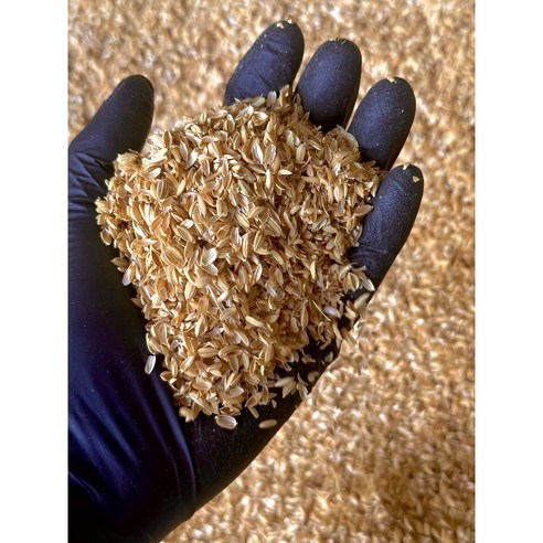 왕겨로 건강한 식물 재배의 시작!