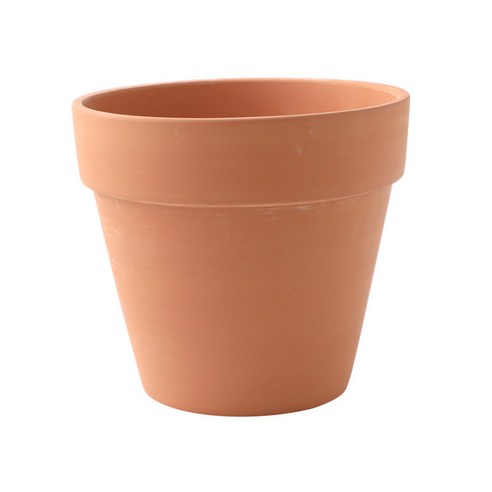 자연과 인테리어의 완벽한 조화