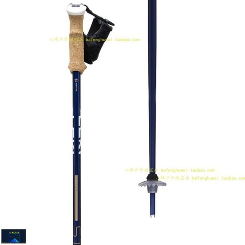 인체공학적 편안함과 탁월한 내구성, 도로시 스키폴대