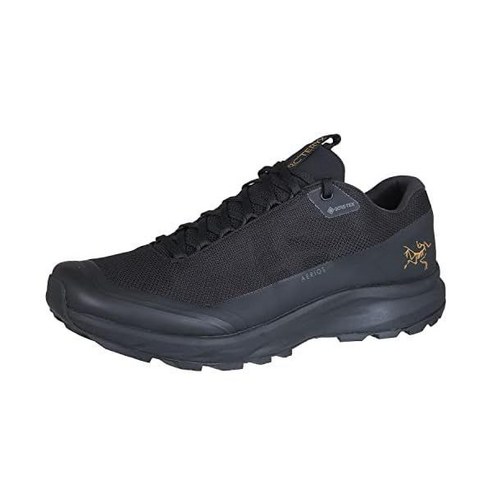 Arcteryx 아크테릭스 Aerios FL 2 GTX 신발 남성용 빠르고 가벼운 고어텍스 등산화