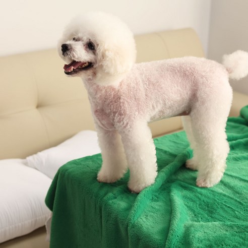 바느질감 10mm 털원단 키링 인형만들기 포토카드 극세사 책상덮개 벨보아 열풍원단 22컬러, 17 딥그린, 1개
