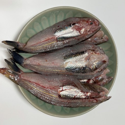 망둥어(망둥이)1kg 망둑이 망둑어 망둥어회 망둥어초무침 망둥어구이, 망둥어(손질없음/미끼용)1kg, 1개 퐁당수산